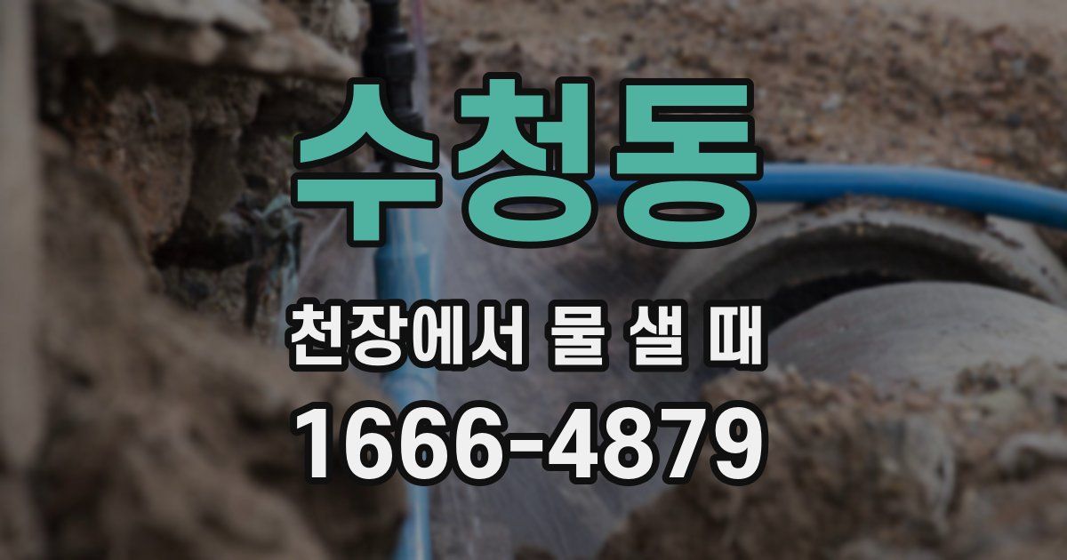 수청동 천장에서 물 샐 때
