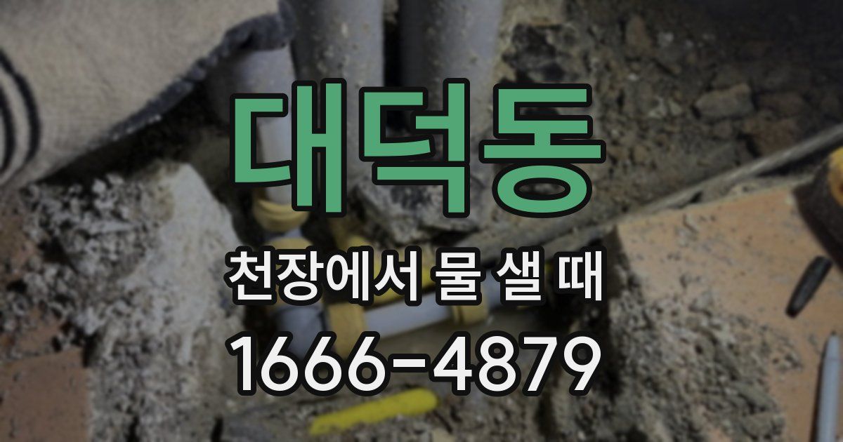 대덕동 천장에서 물 샐 때