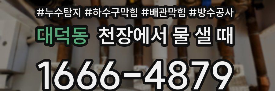 대덕동 천장에서 물 샐 때