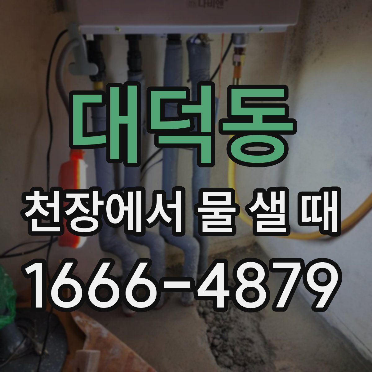 대덕동 천장에서 물 샐 때