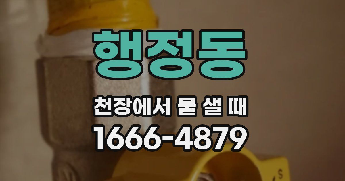 행정동 천장에서 물 샐 때
