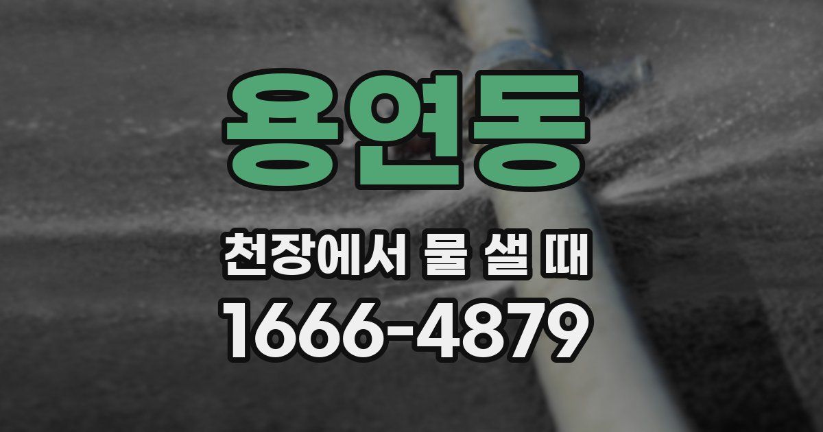 용연동 천장에서 물 샐 때