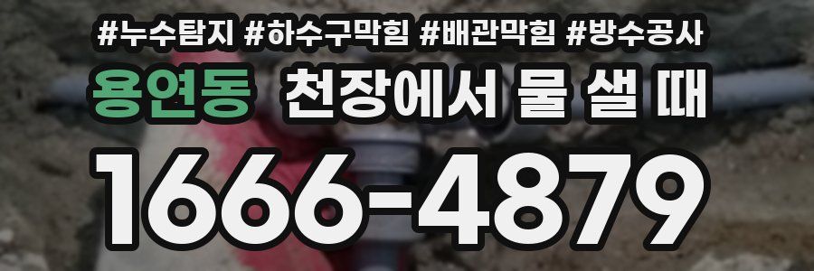 용연동 천장에서 물 샐 때