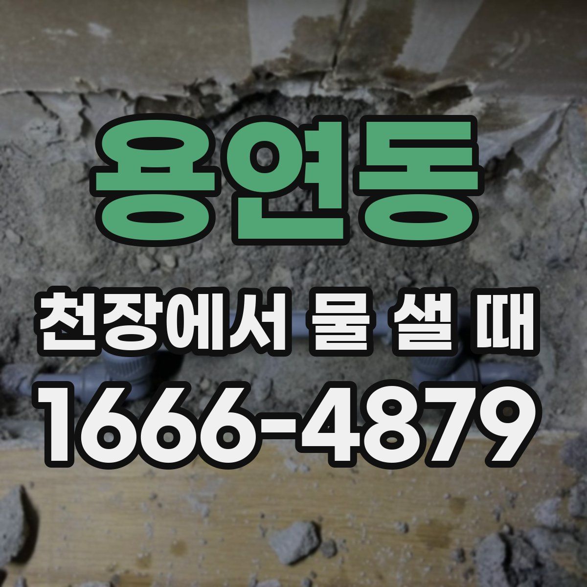 용연동 천장에서 물 샐 때