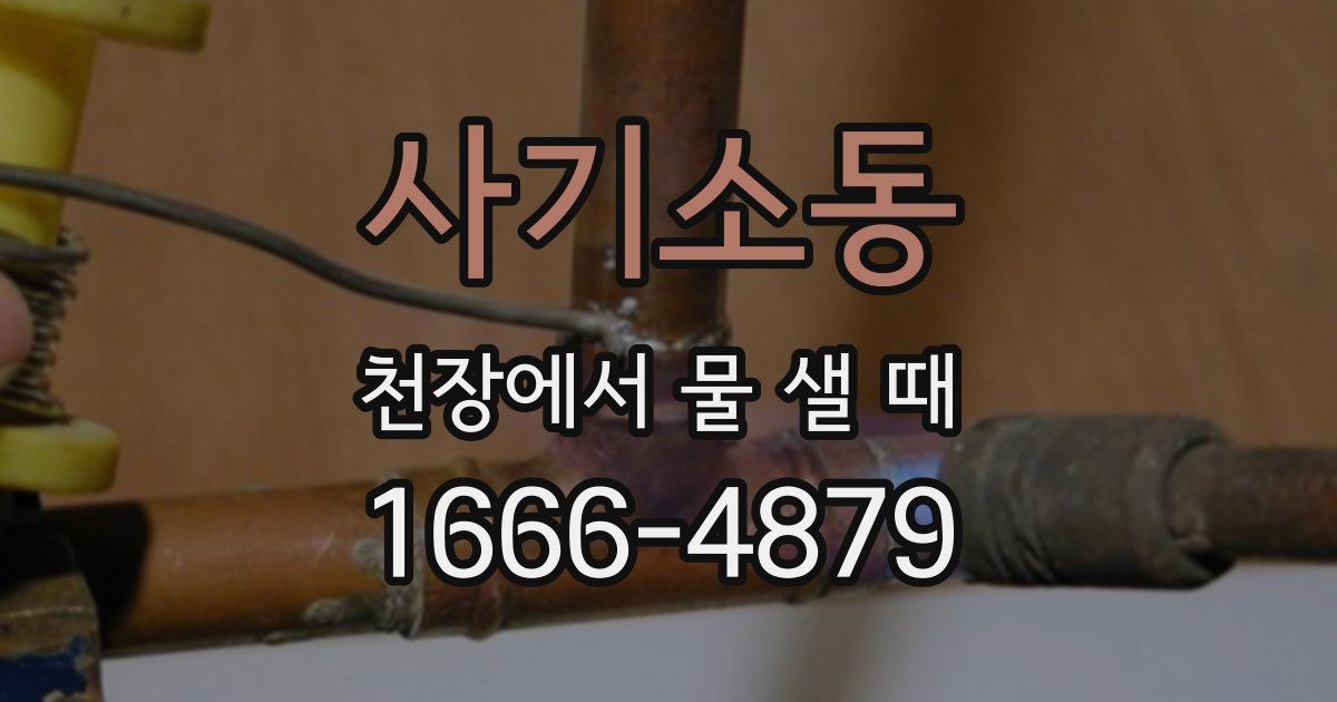 사기소동 천장에서 물 샐 때