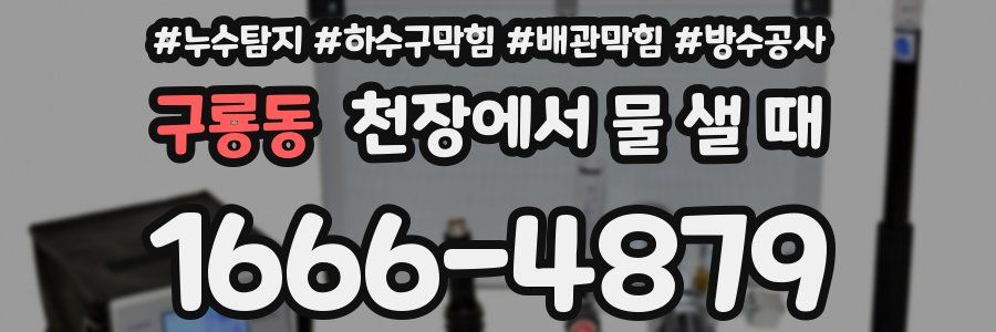 구룡동 천장에서 물 샐 때