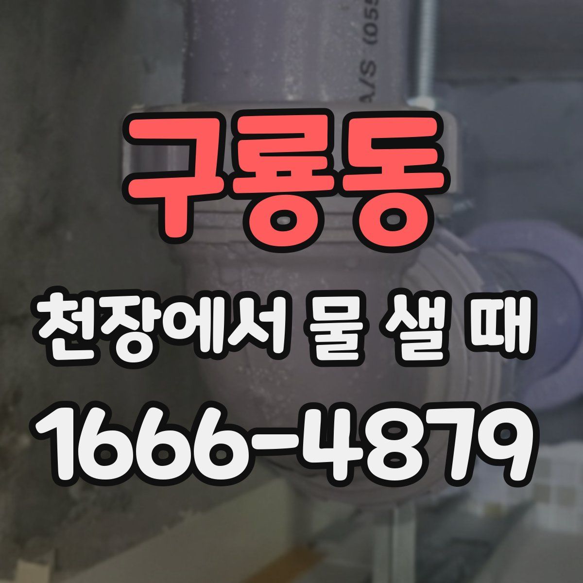 구룡동 천장에서 물 샐 때