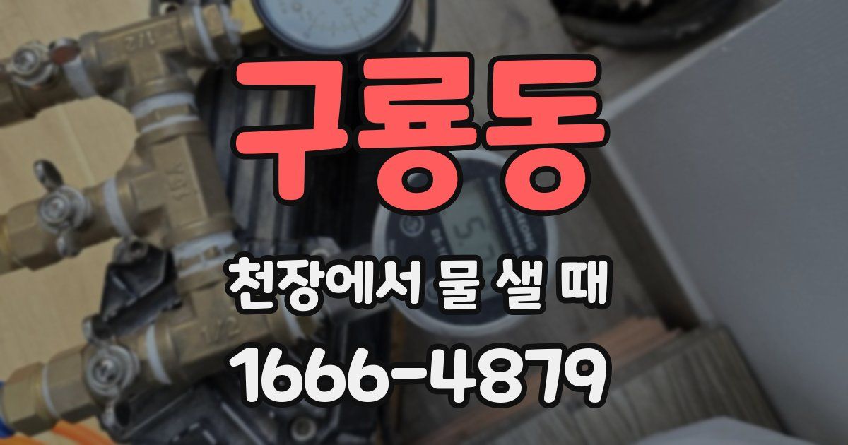구룡동 천장에서 물 샐 때