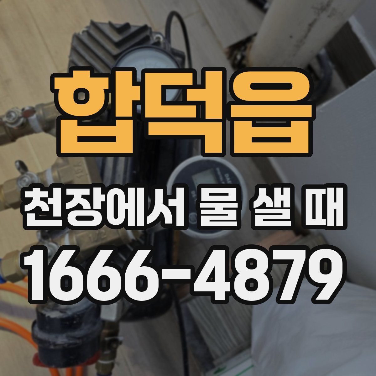 합덕읍 천장에서 물 샐 때