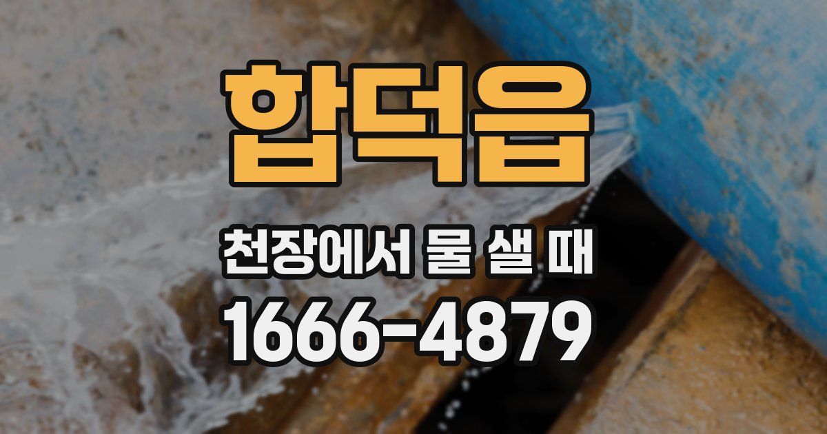 합덕읍 천장에서 물 샐 때