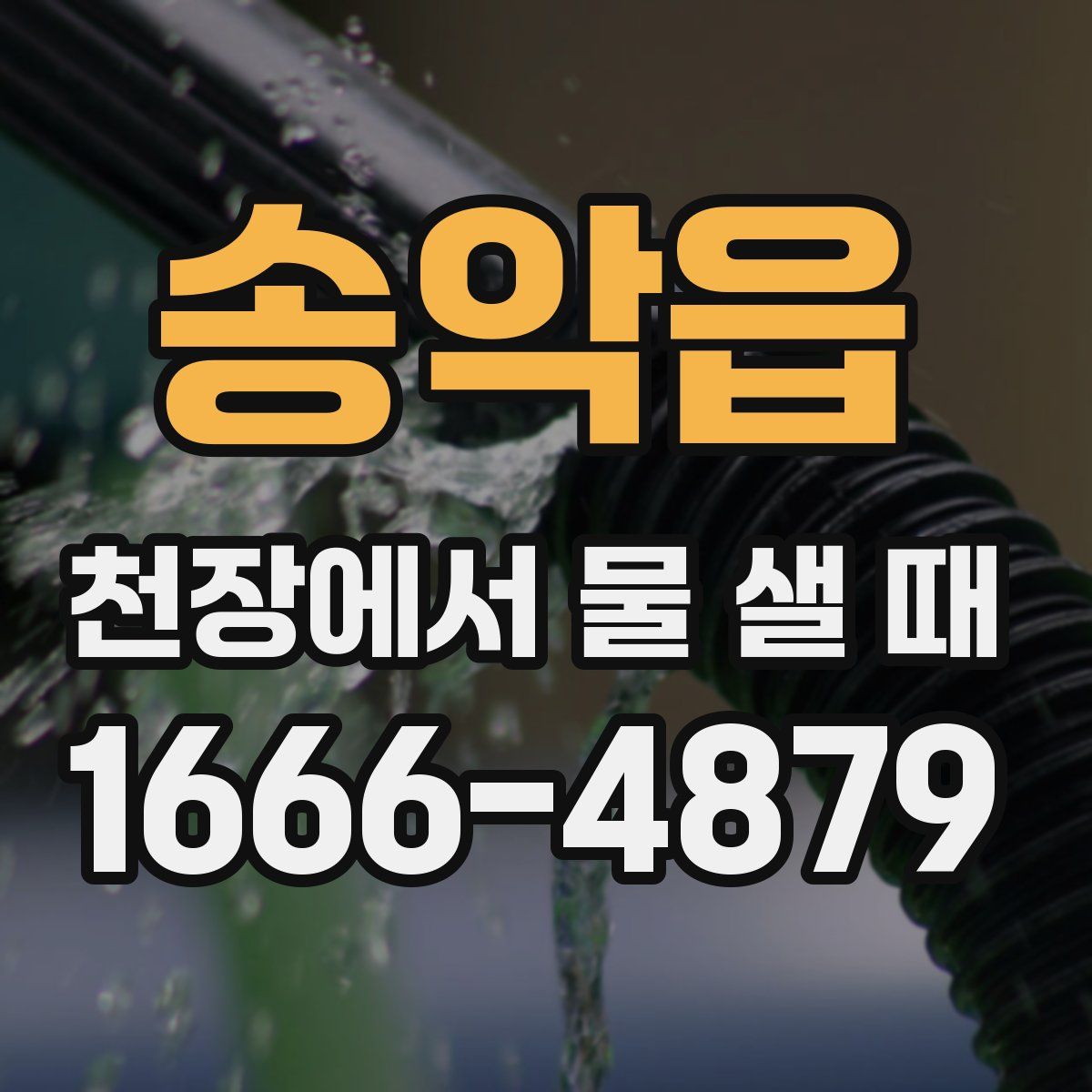 송악읍 천장에서 물 샐 때