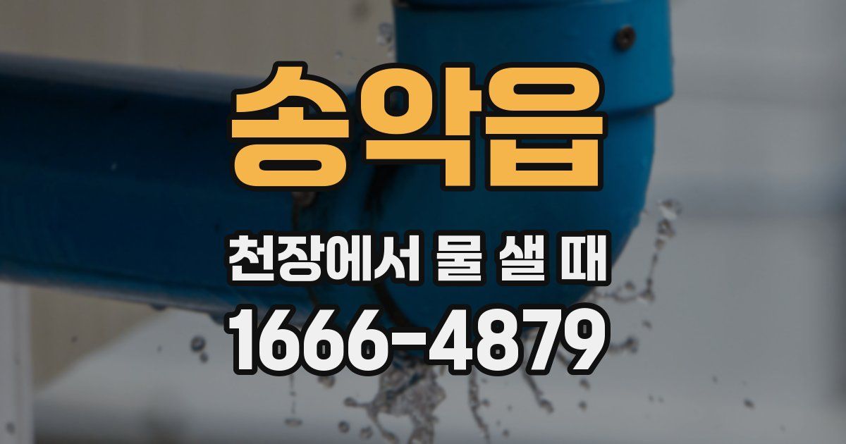 송악읍 천장에서 물 샐 때
