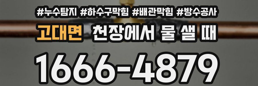 고대면 천장에서 물 샐 때