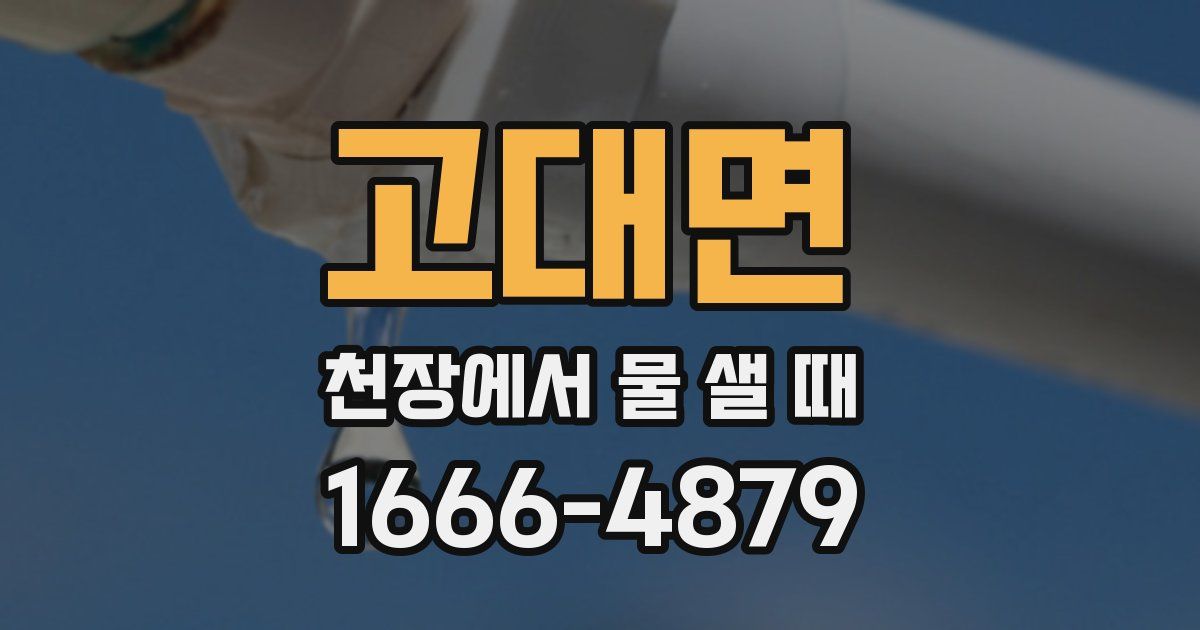 고대면 천장에서 물 샐 때