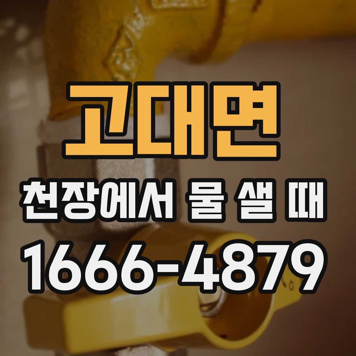 고대면 천장에서 물 샐 때