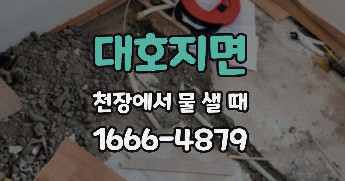 대호지면 천장에서 물 샐 때