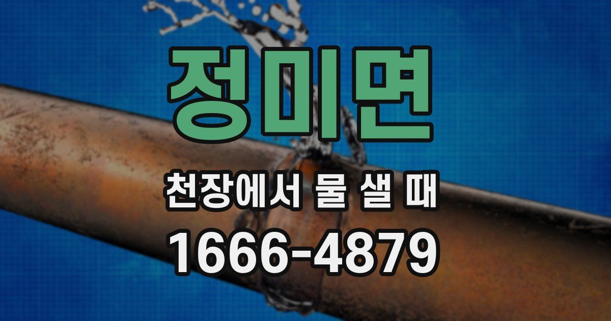 정미면 천장에서 물 샐 때