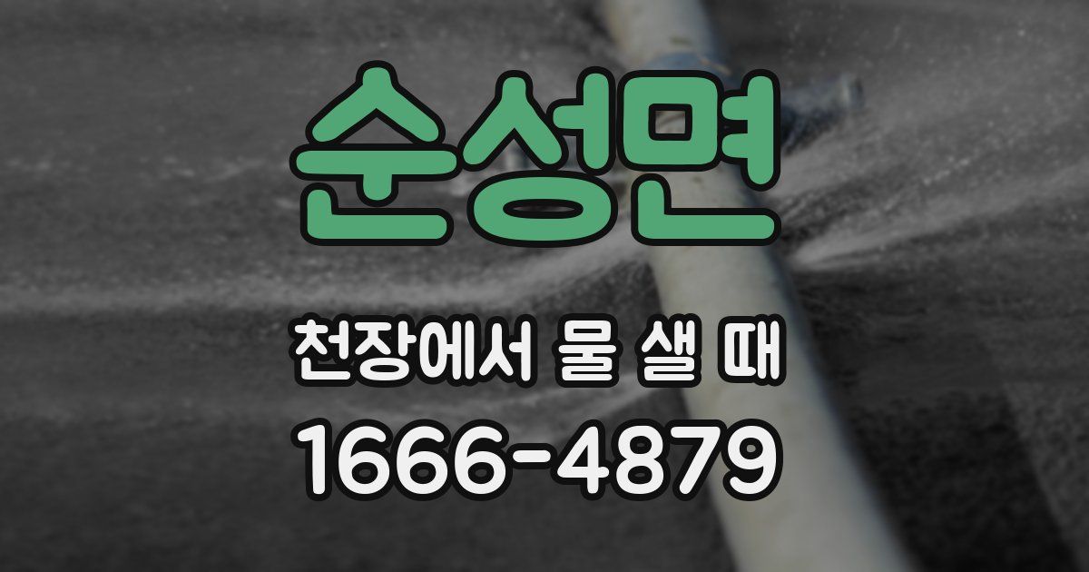 순성면 천장에서 물 샐 때