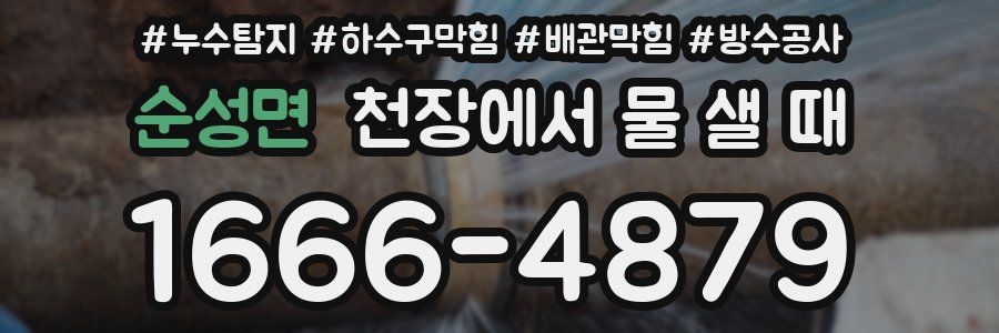 순성면 천장에서 물 샐 때