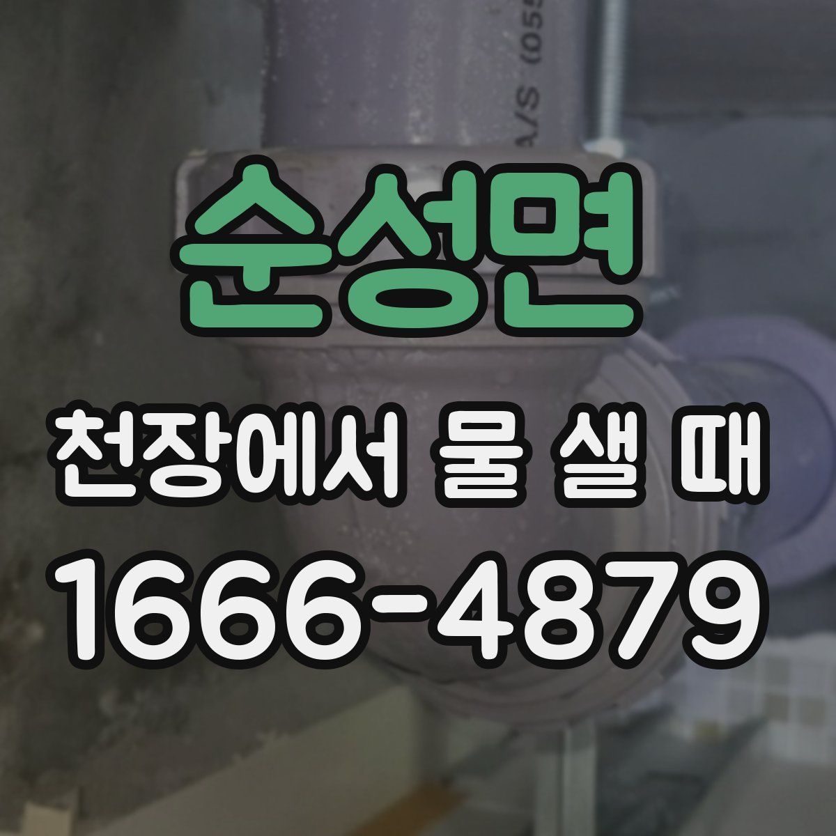 순성면 천장에서 물 샐 때
