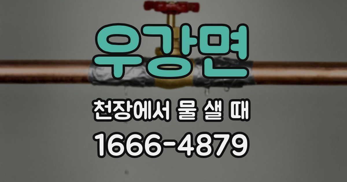 우강면 천장에서 물 샐 때
