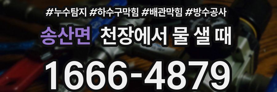 송산면 천장에서 물 샐 때