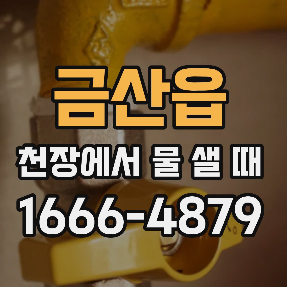 금산읍 천장에서 물 샐 때