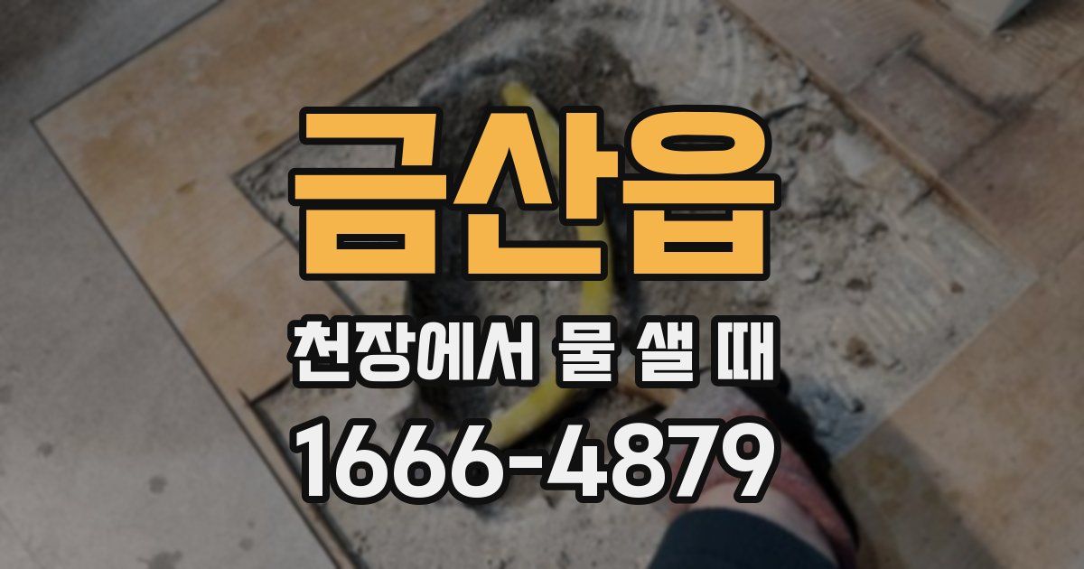 금산읍 천장에서 물 샐 때