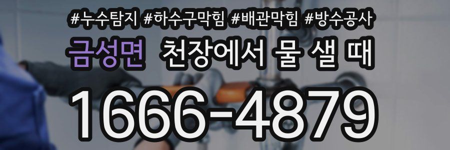 금성면 천장에서 물 샐 때