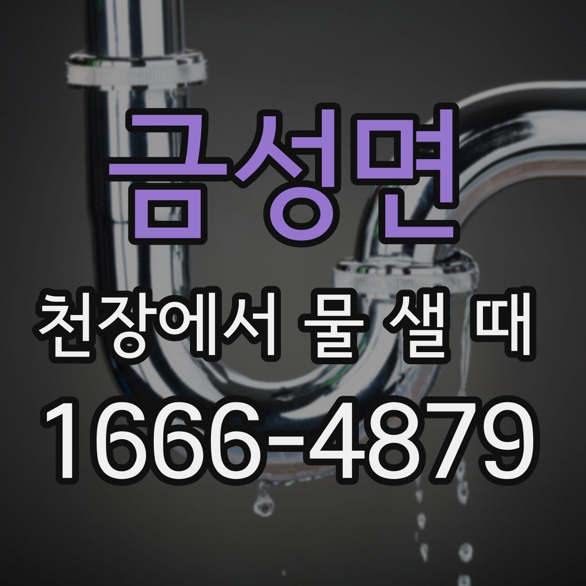 금성면 천장에서 물 샐 때
