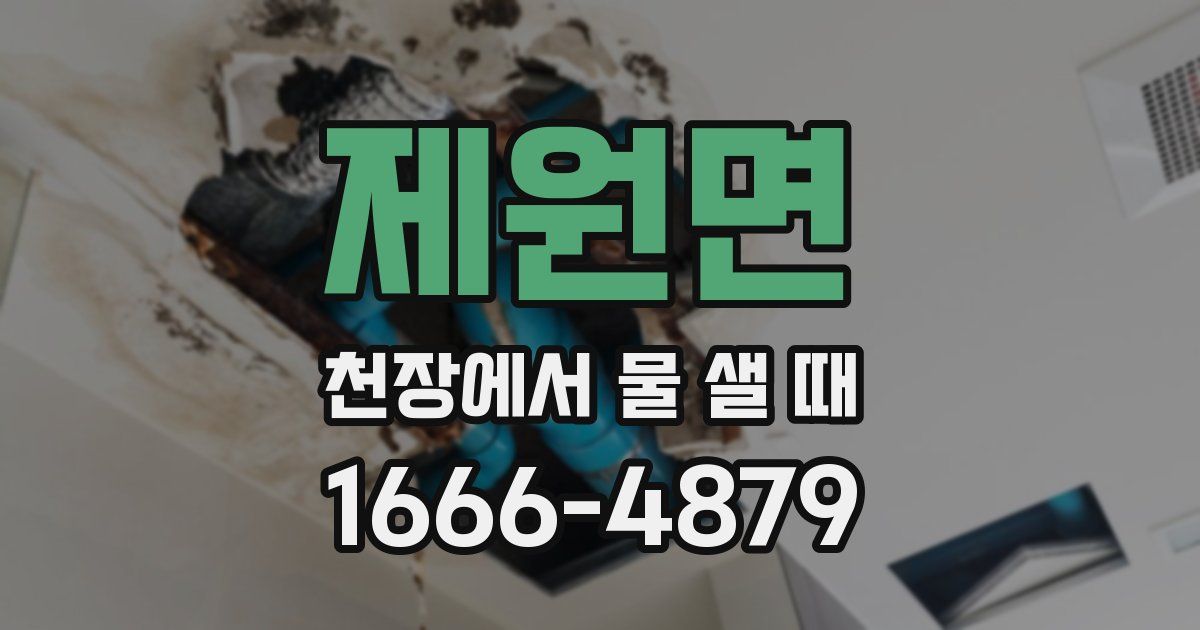 제원면 천장에서 물 샐 때