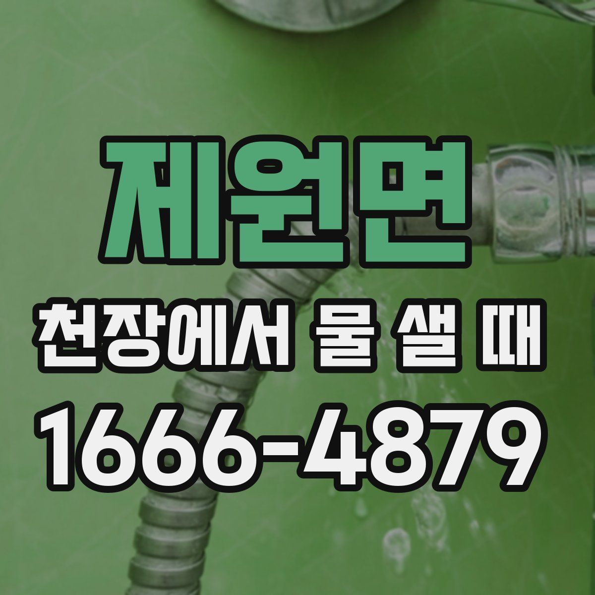 제원면 천장에서 물 샐 때