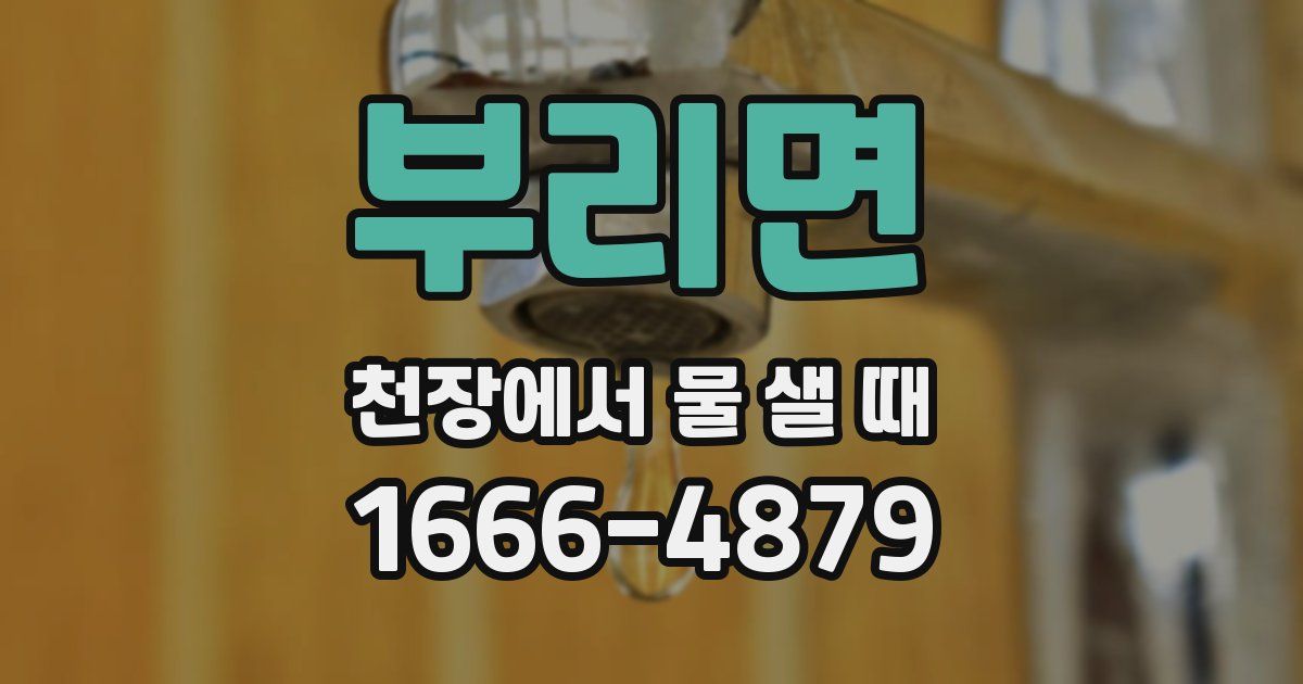 부리면 천장에서 물 샐 때