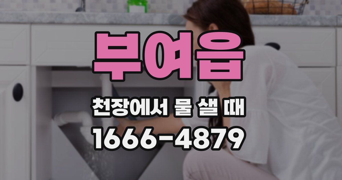 부여읍 천장에서 물 샐 때