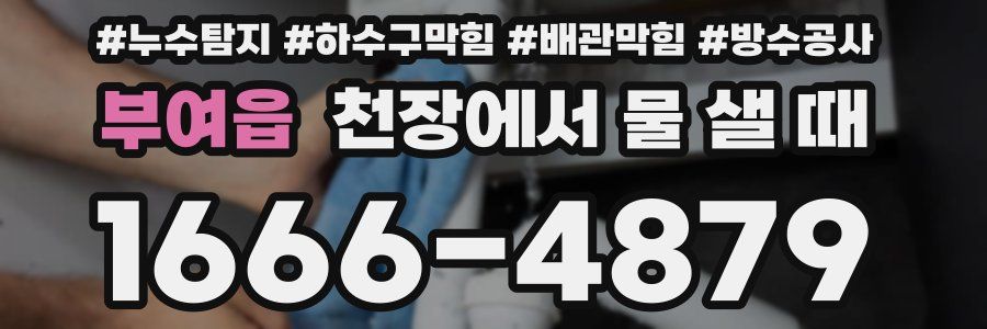 부여읍 천장에서 물 샐 때