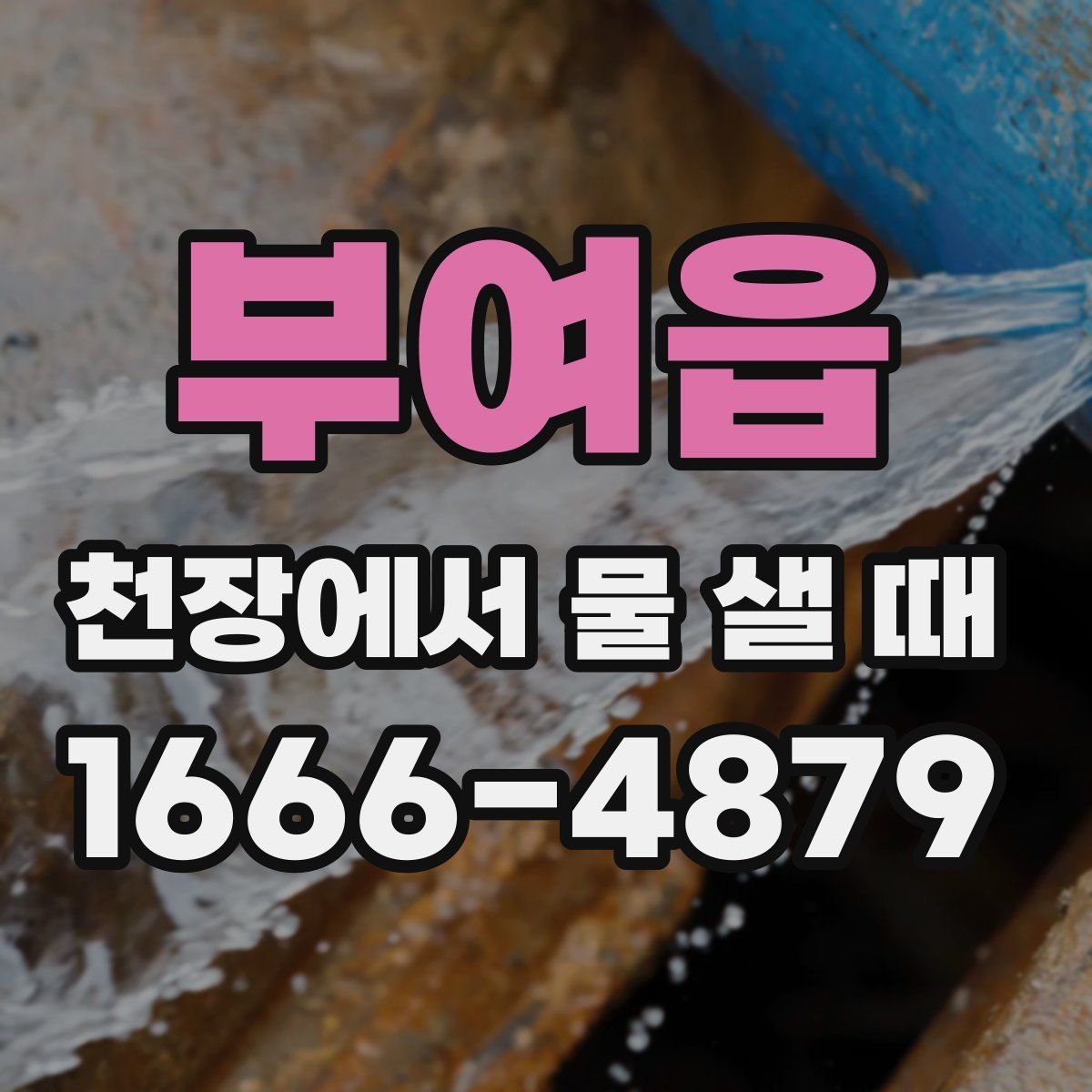 부여읍 천장에서 물 샐 때