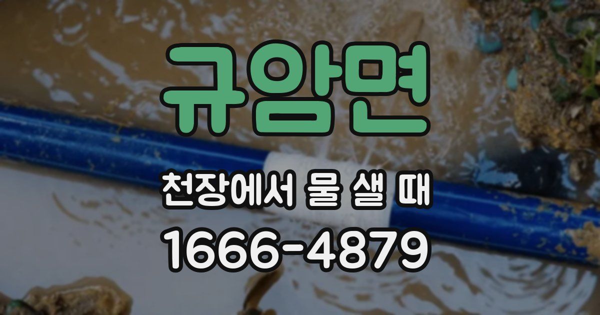 규암면 천장에서 물 샐 때