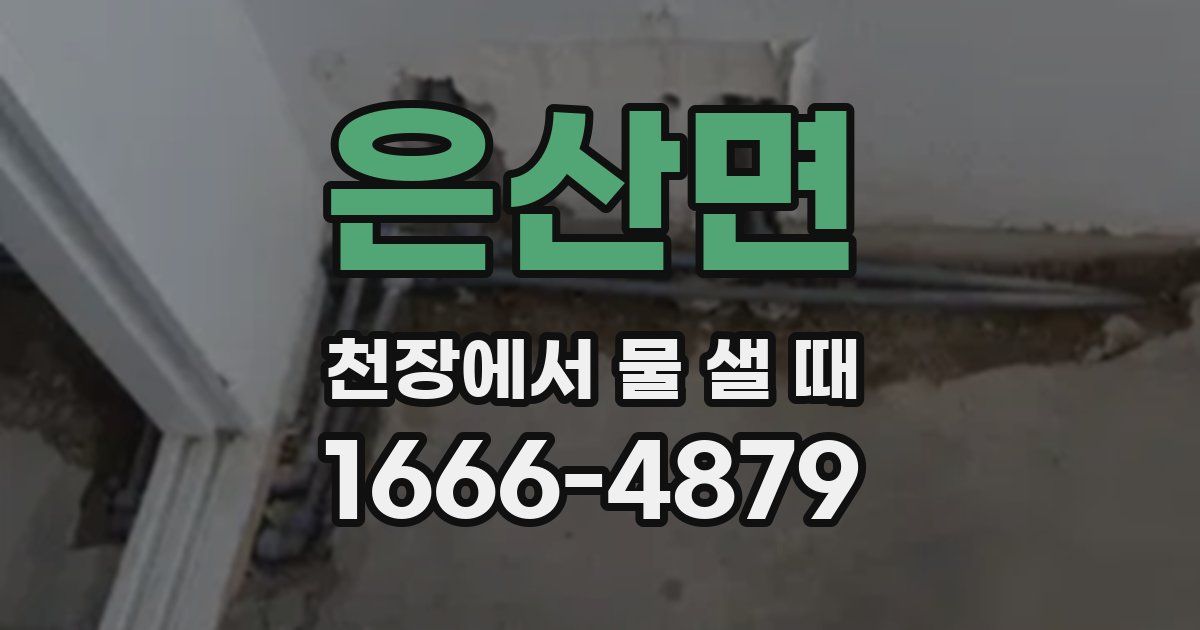 은산면 천장에서 물 샐 때