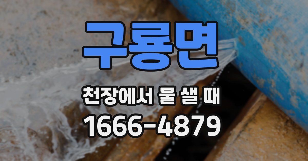 구룡면 천장에서 물 샐 때