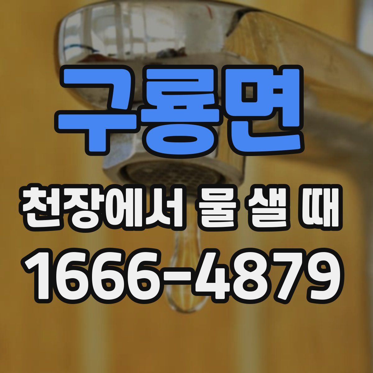 구룡면 천장에서 물 샐 때