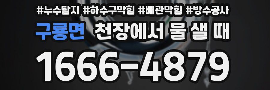 구룡면 천장에서 물 샐 때