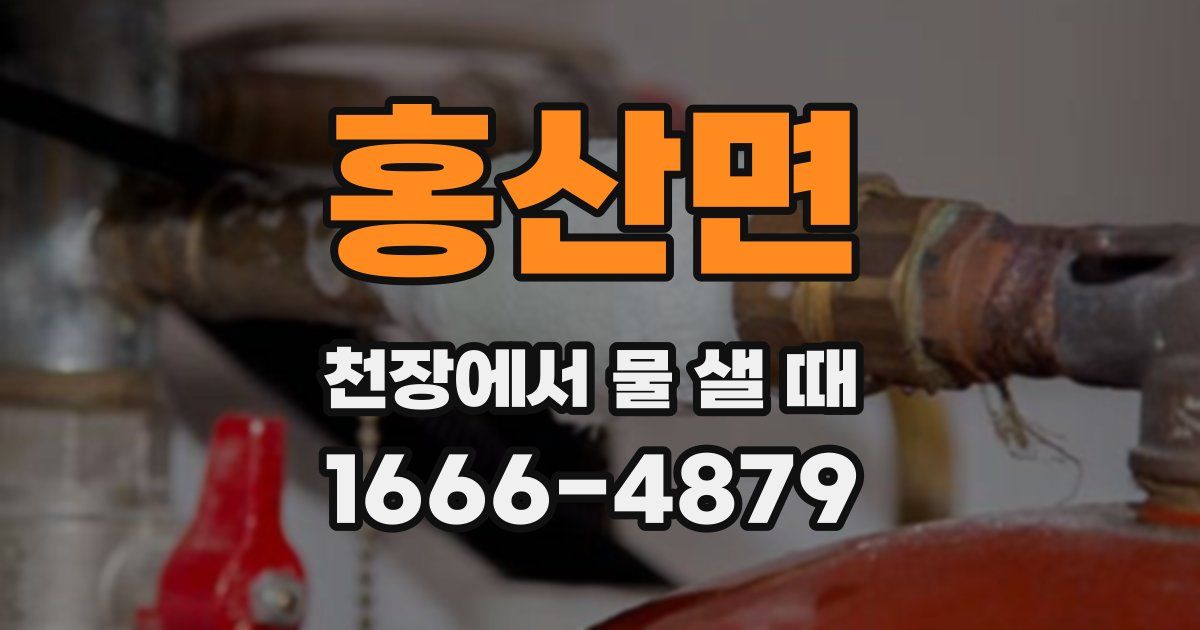 홍산면 천장에서 물 샐 때