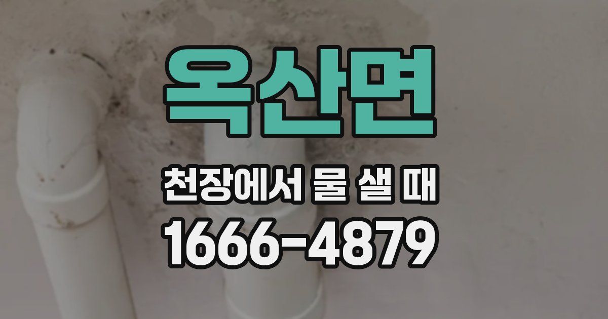 옥산면 천장에서 물 샐 때