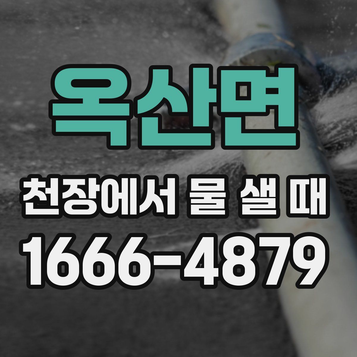 옥산면 천장에서 물 샐 때