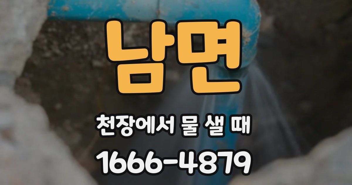 남면 천장에서 물 샐 때