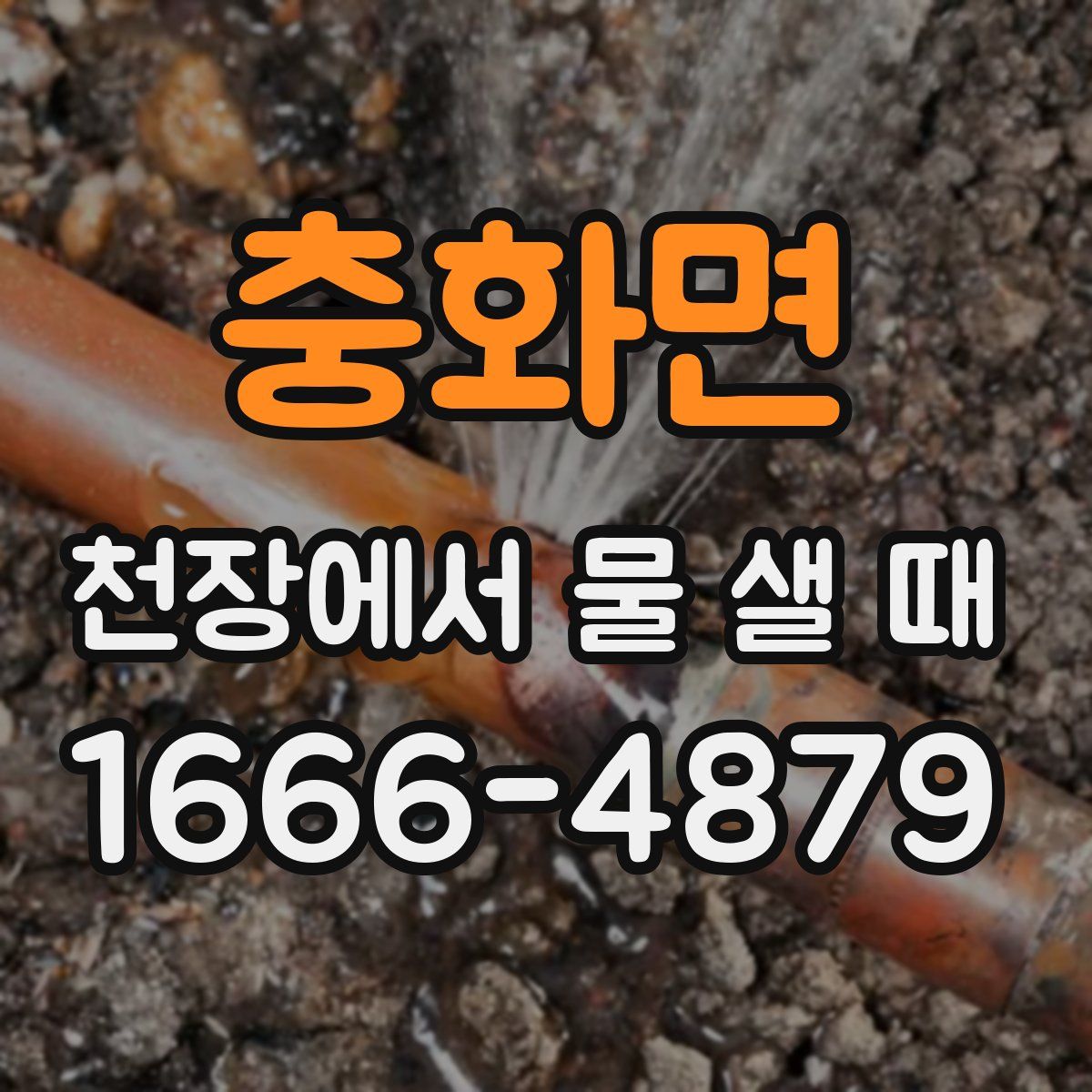 충화면 천장에서 물 샐 때
