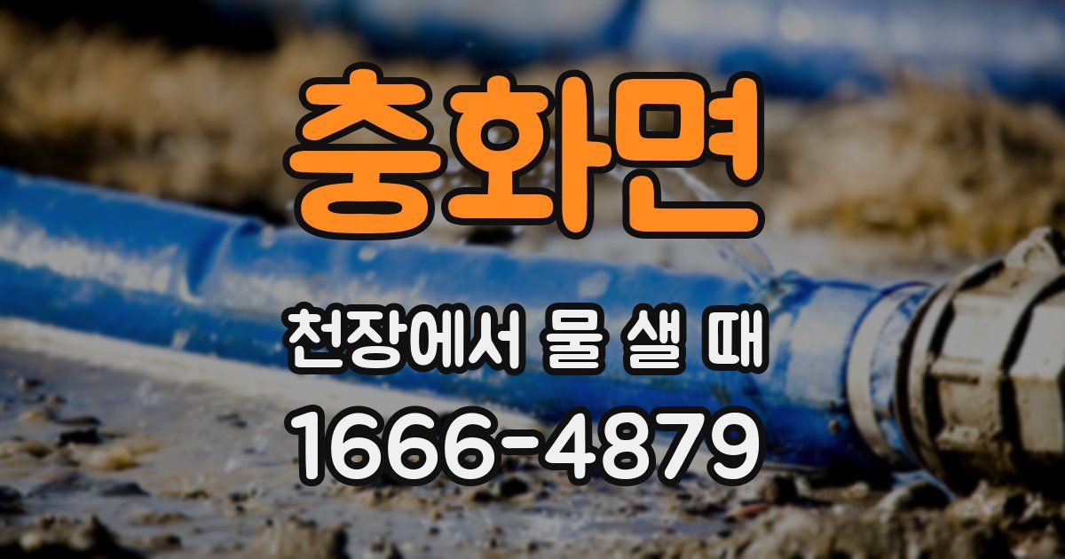 충화면 천장에서 물 샐 때