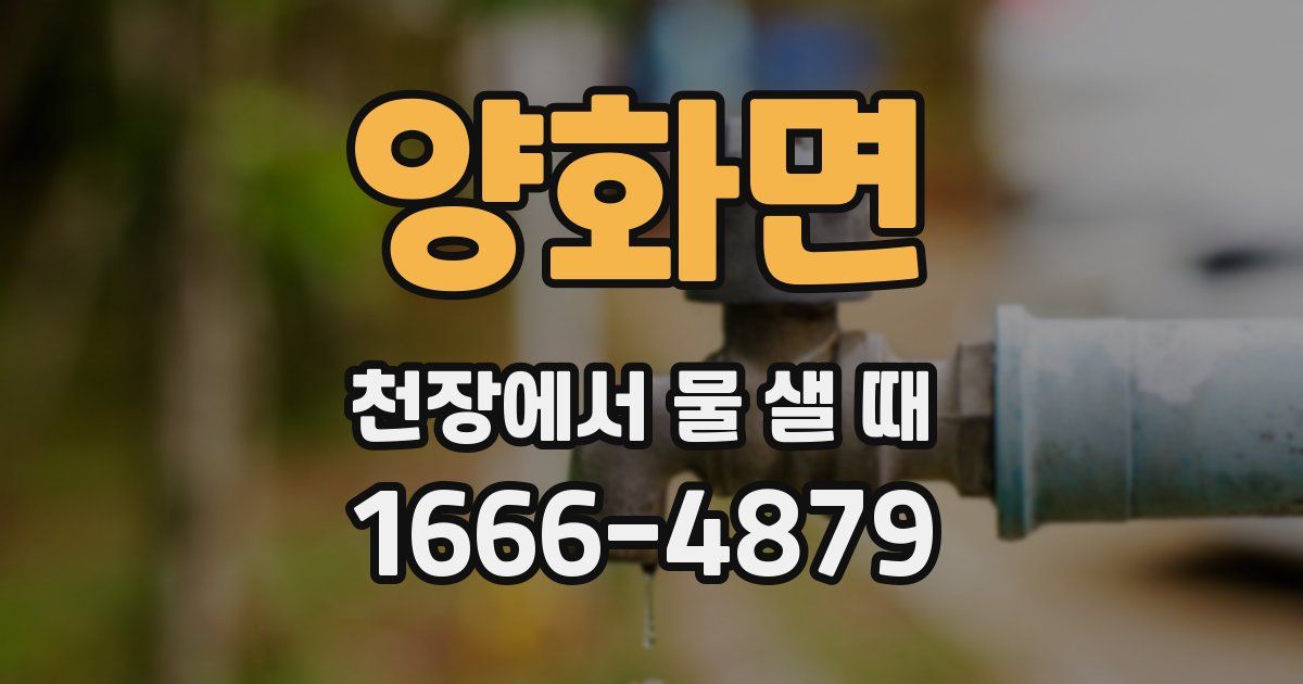 양화면 천장에서 물 샐 때