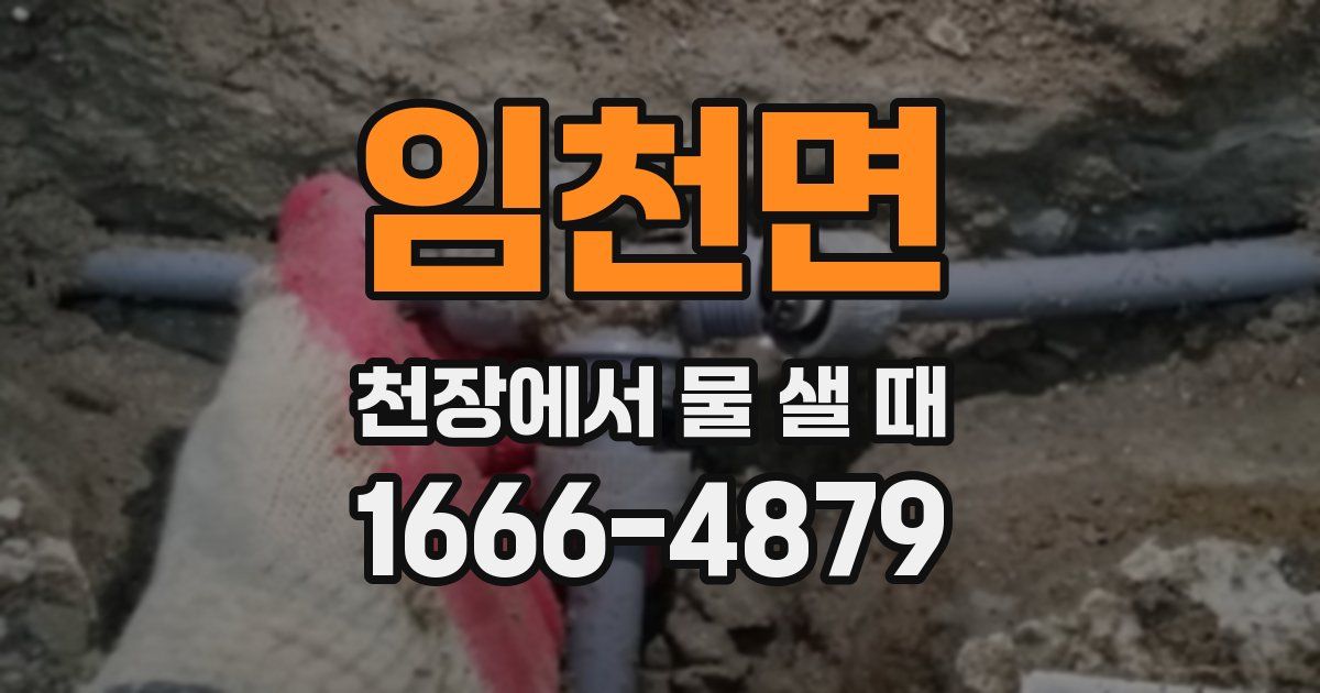 임천면 천장에서 물 샐 때