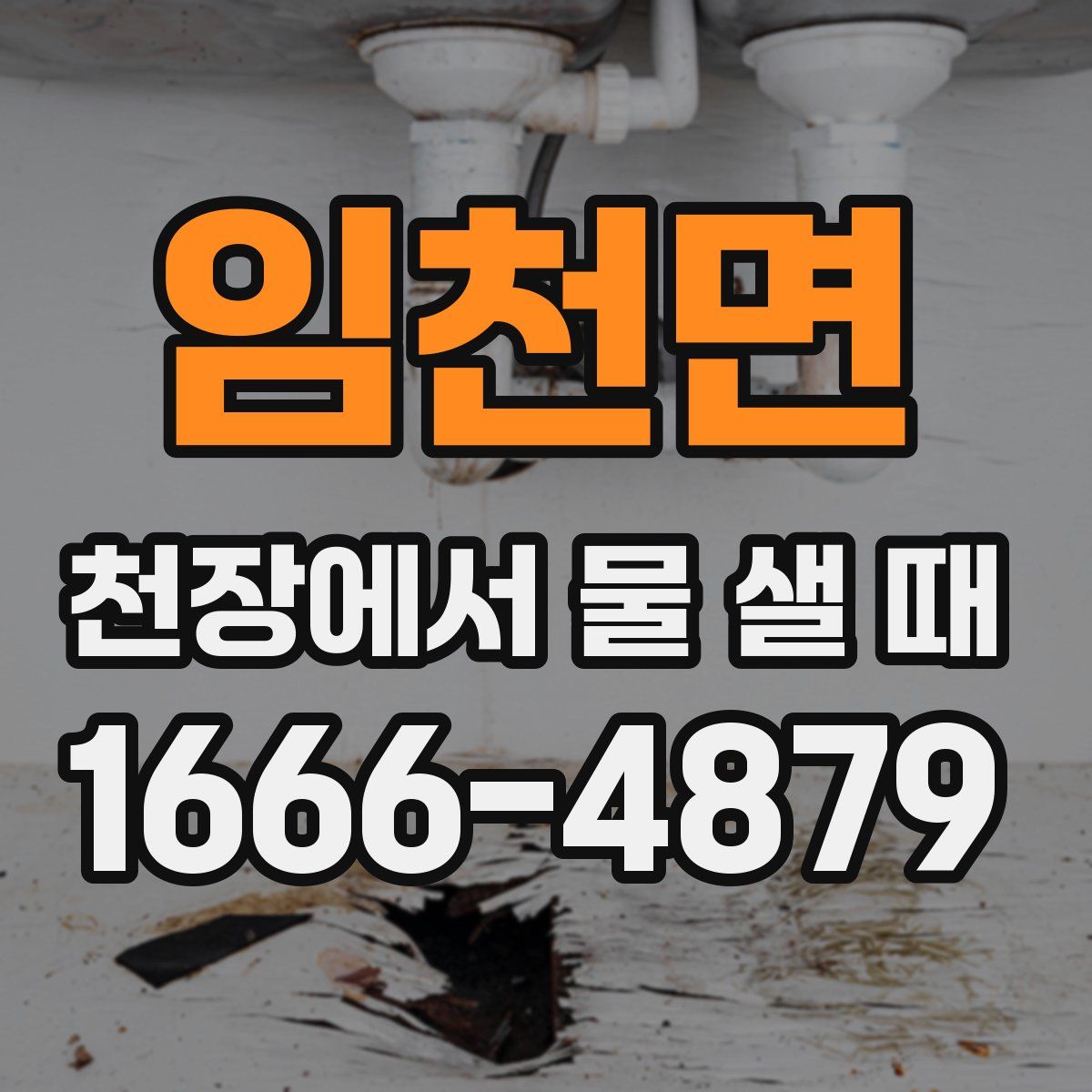 임천면 천장에서 물 샐 때
